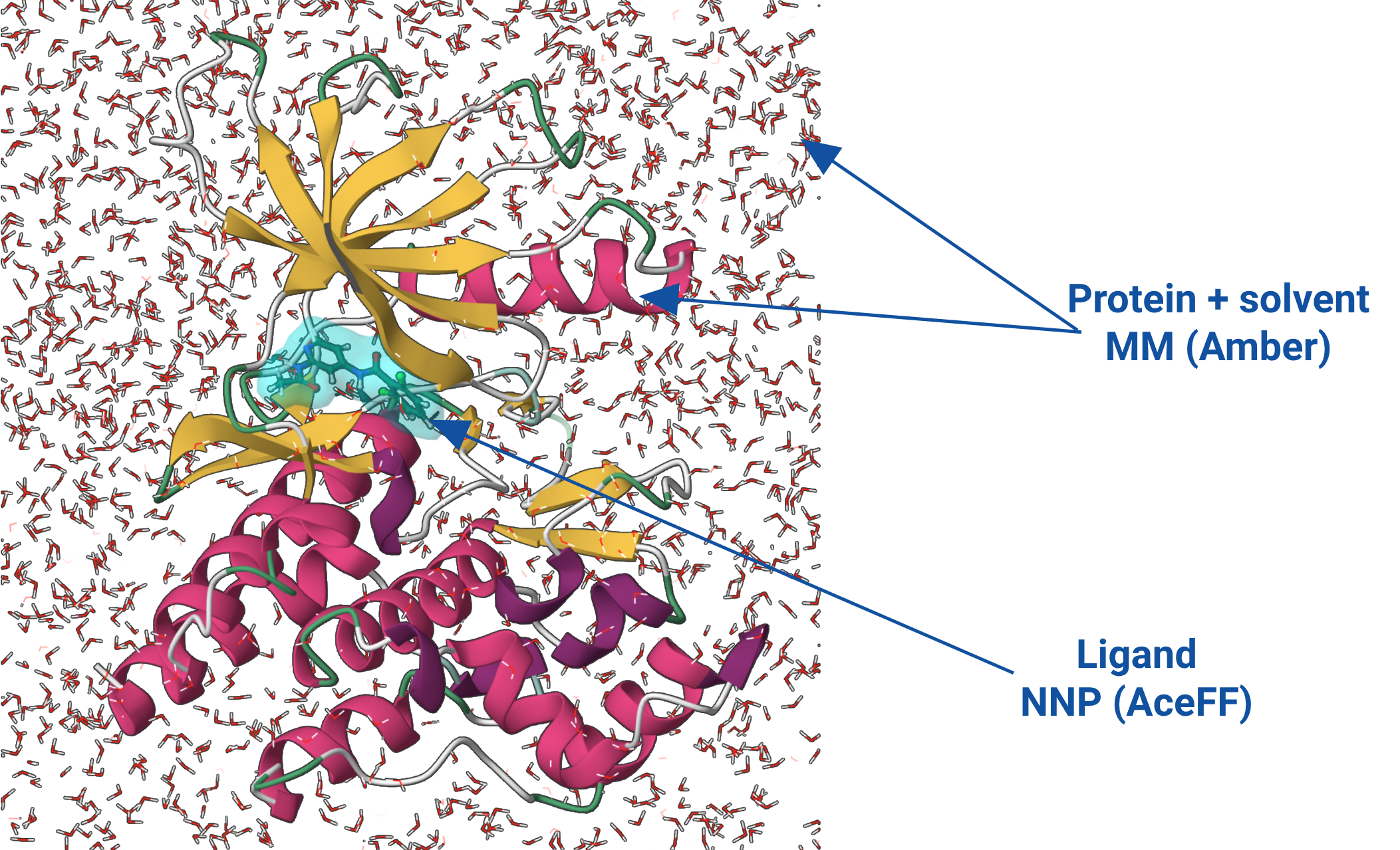 Scheme of an NNP/MM simulation, with the ligand on the neural network potential