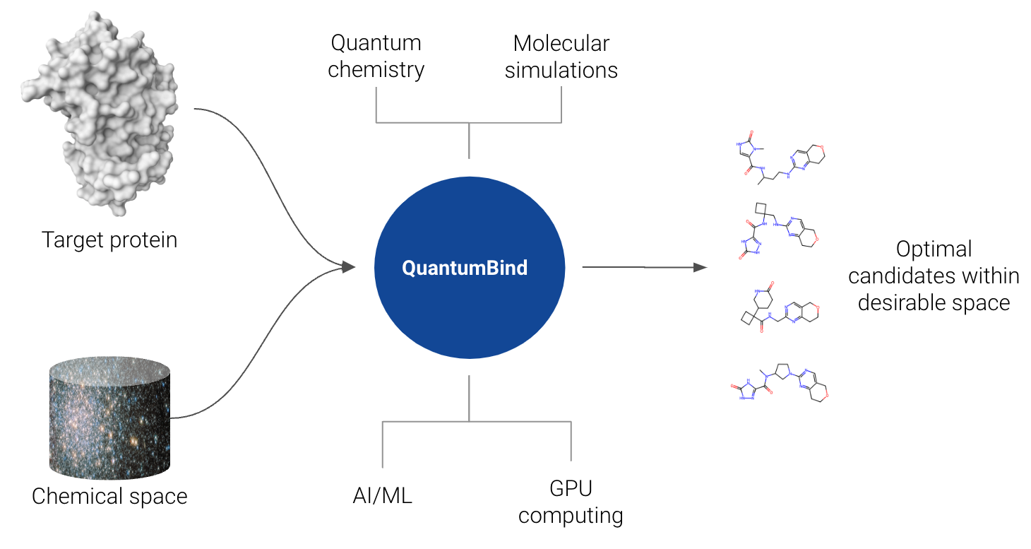 QuantumBind relative binding free energy applications