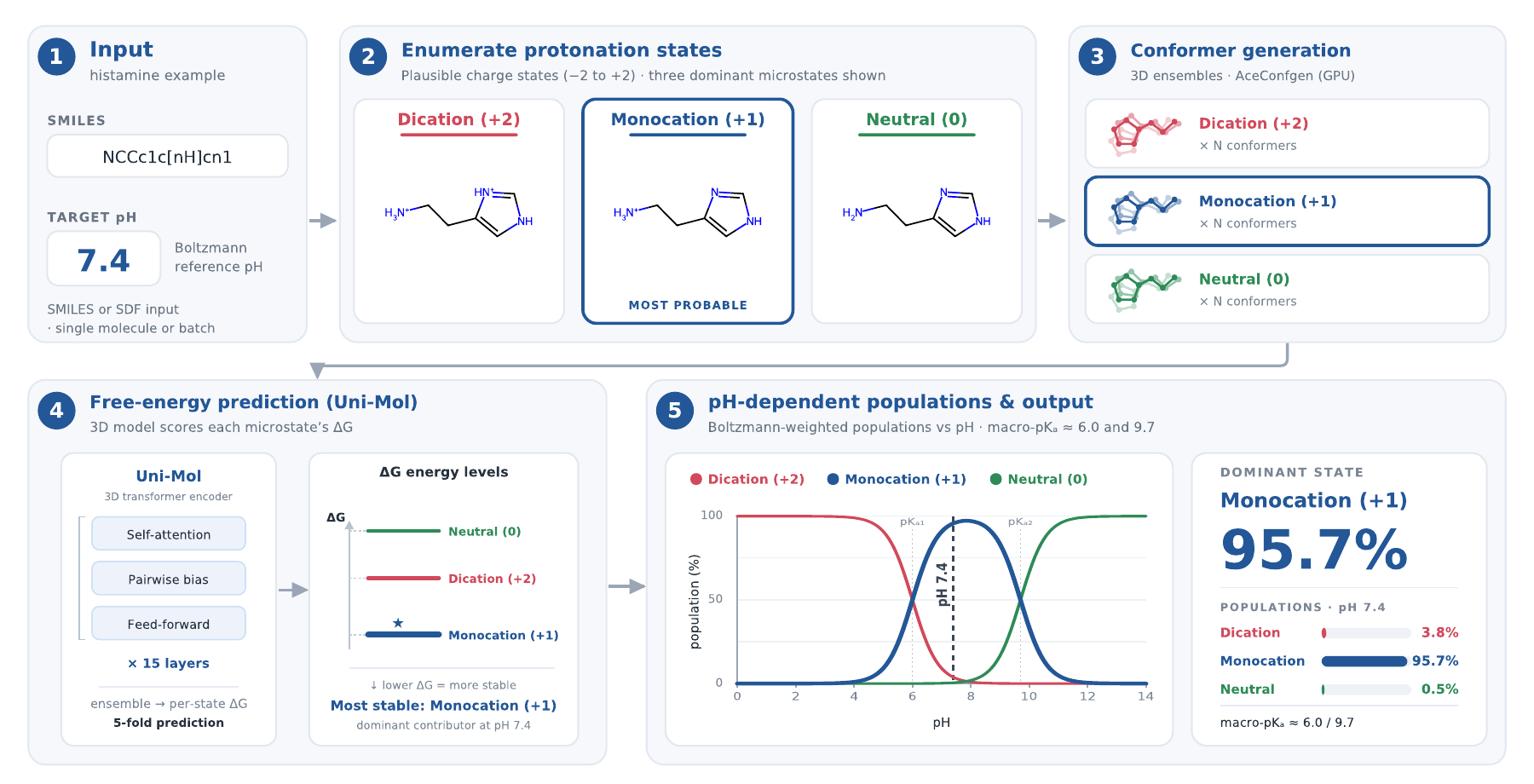 AcepKa workflow: enumerate protonation states, generate conformers with AceConfgen, predict free energies with Uni-Mol, and calculate pH-dependent populations.