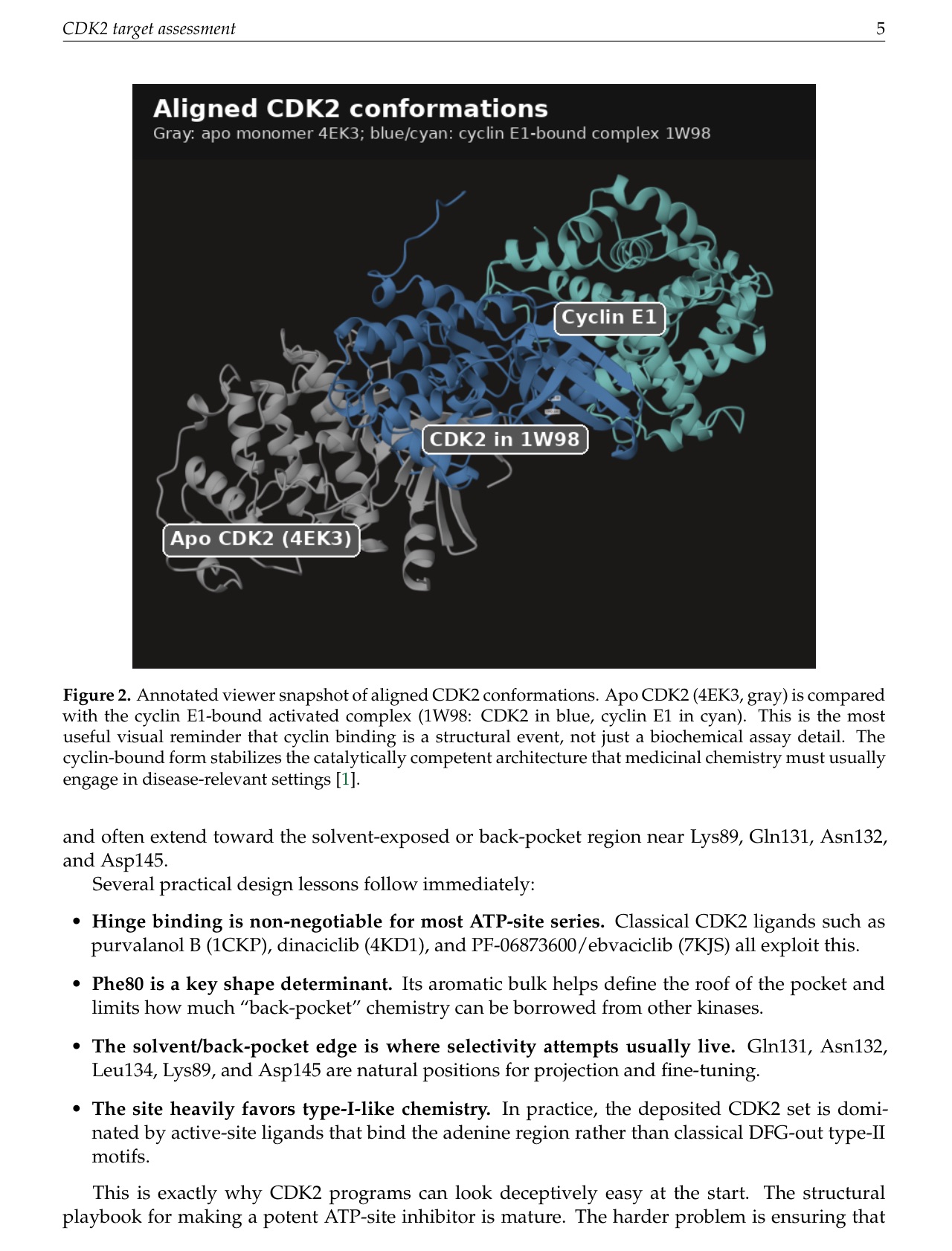 Report page with an annotated viewer snapshot of aligned CDK2 conformations
