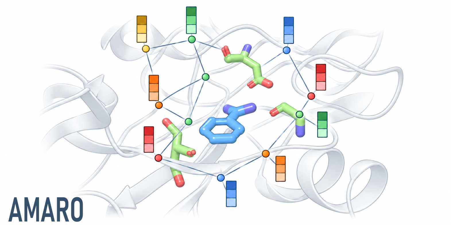 AMARO illustration of a protein–ligand complex represented by molecular graph nodes and learned feature vectors.