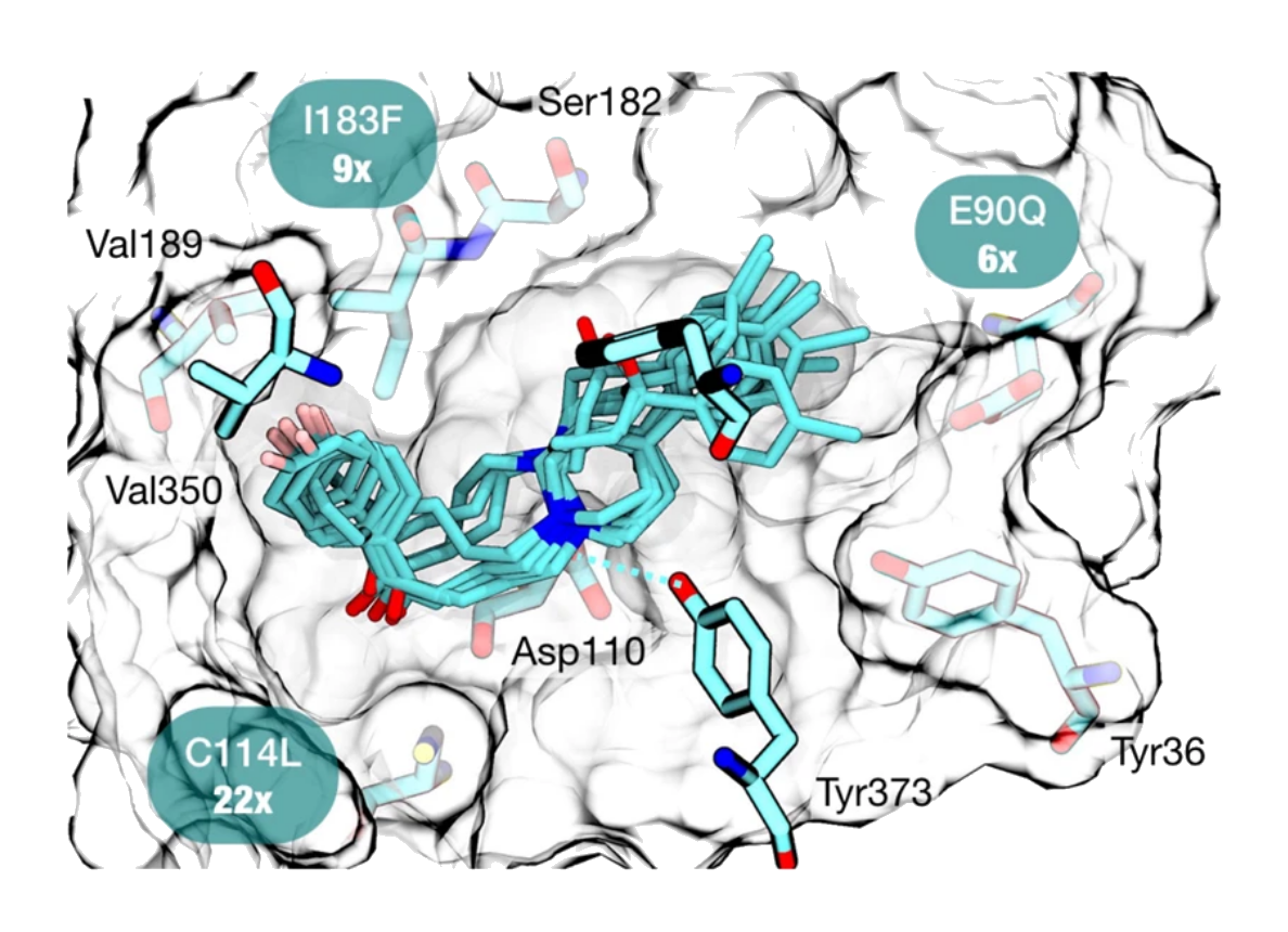 Cryptic pocket in an aminergic GPCR